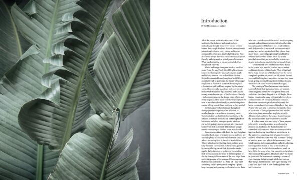A New Leaf - Image 3