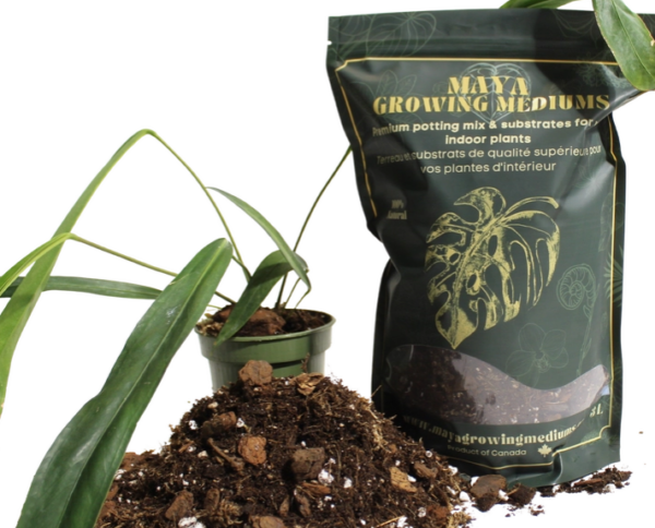 Aroid Blend- Potting Soil for Indoor Plants - Image 2