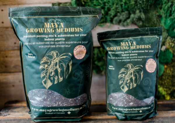 Cactus Blend- Potting Soil for Indoor Plants