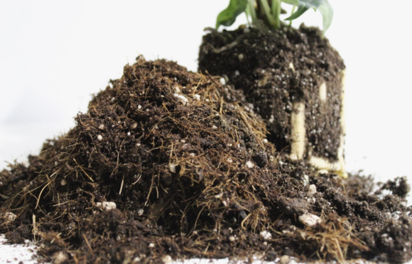 General Blend- Potting Soil for Indoor Plants - Image 3
