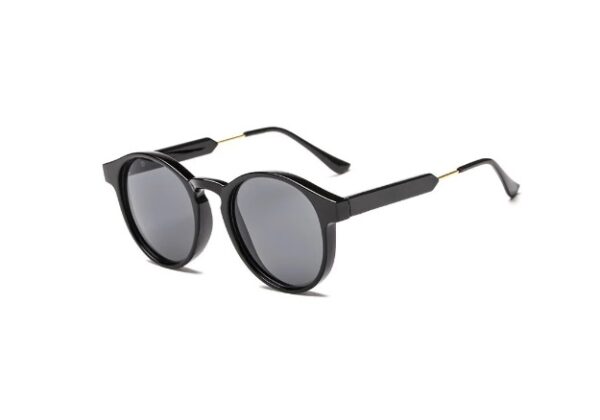 Vintage Round Sunglasses - Image 5