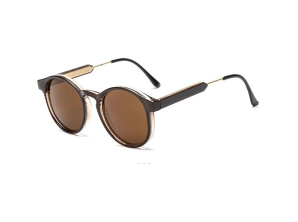 Vintage Round Sunglasses - Image 3