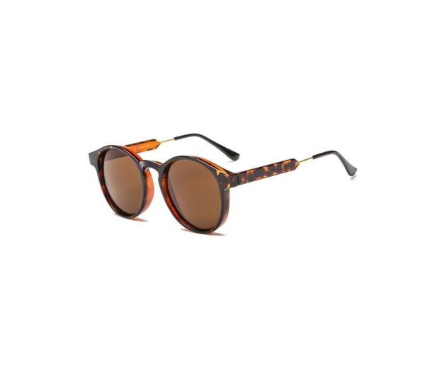 Vintage Round Sunglasses - Image 4