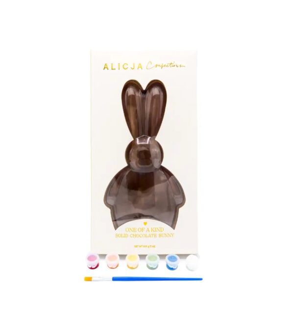 Paint-it-Yourself DIY Chocolate Easter Bunny