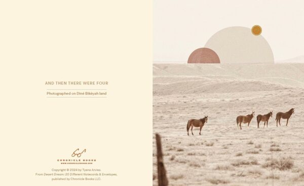 Desert Dream Notes - Image 2
