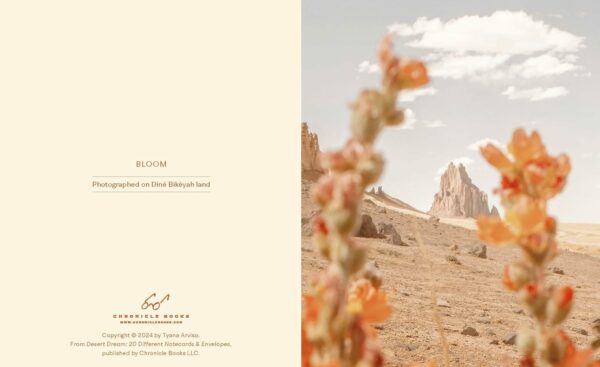 Desert Dream Notes - Image 3