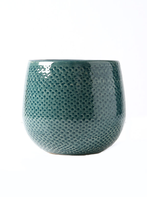 Icy Gabriel Planter - 4" and 6"