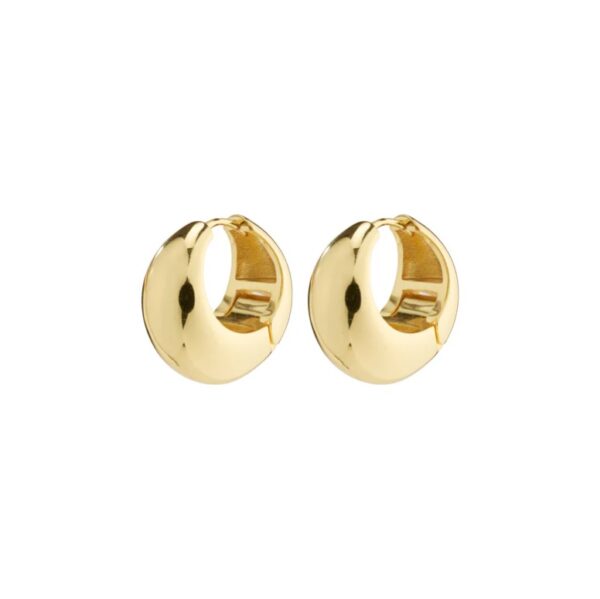 Ioanna Chunky Hoops - Image 4