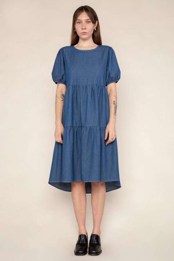 Braquelle Denim Dress
