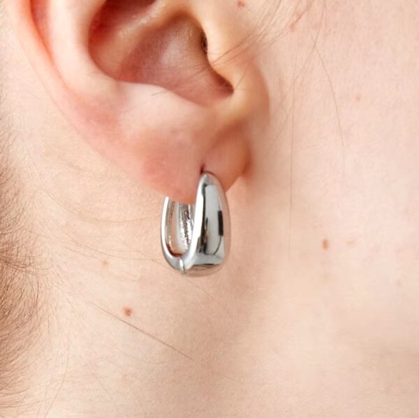 The Essential Hoops - Image 2