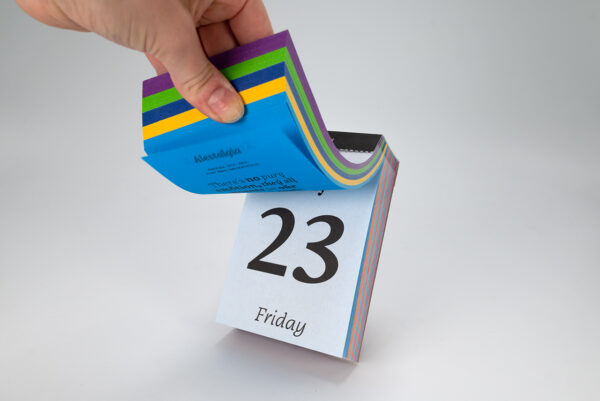 Typodarium 2025 Daily Calendar - Image 2